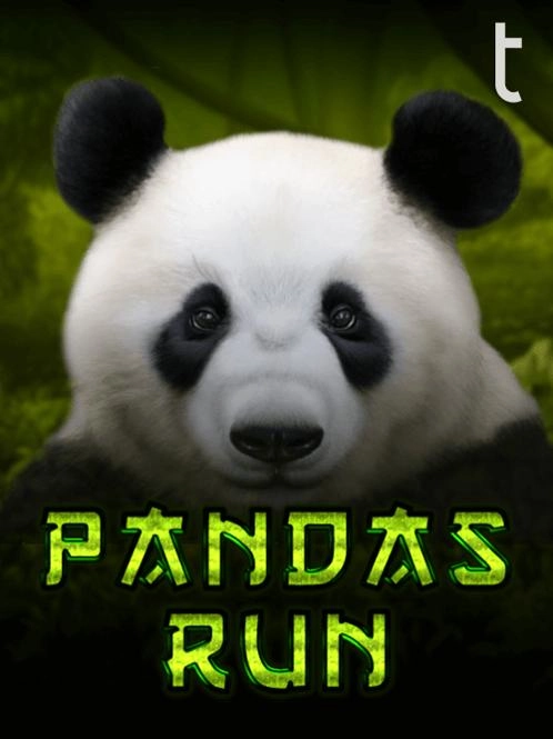 Zebras para apostar hoje