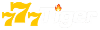 Jogo de dardos profissional - Tg55
