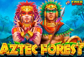 Historico blaze